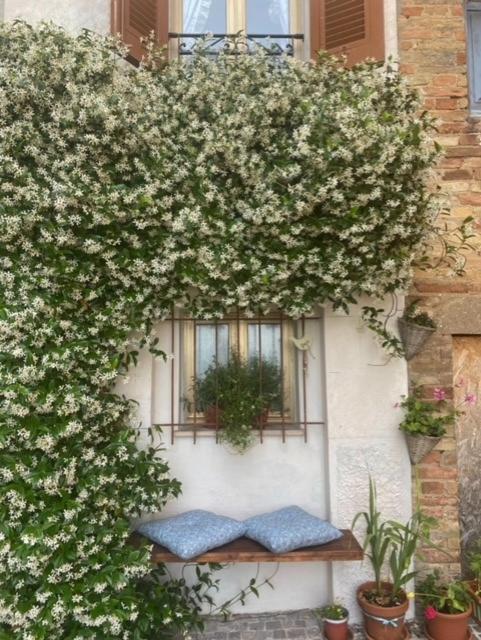 阿夸维瓦皮切纳La Casa Del Gelsomino公寓 外观 照片